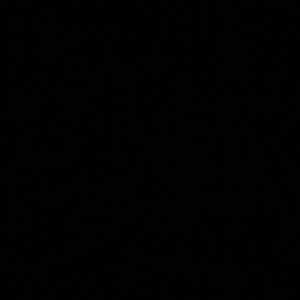 Meet your Posher, Mya